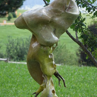Vue frontale