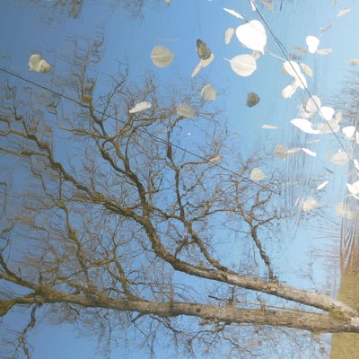 Riflesso nel lago