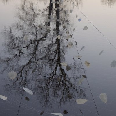 Riflesso nel lago