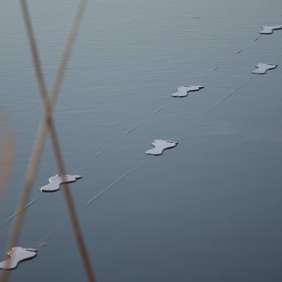 Presenza