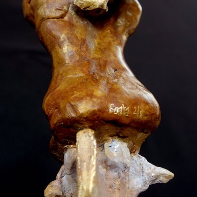 Détail